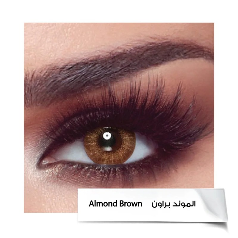Bella Daily Contact Lenses - Almond Brown - 10 lenses