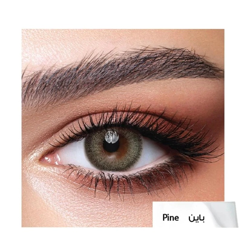 Bella Daily Contact Lenses - Pine-10 lenses