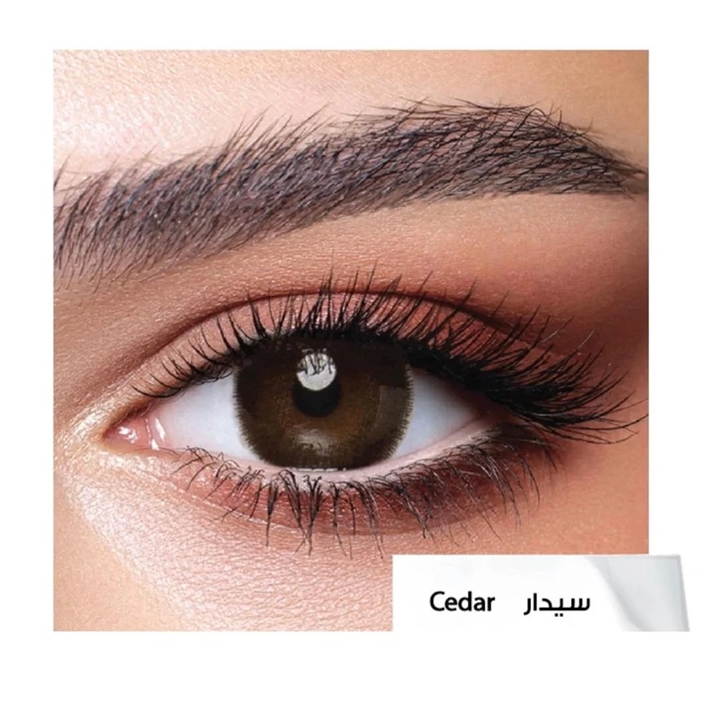 عدسات بيلا اليومية سيدار -10 عدسات