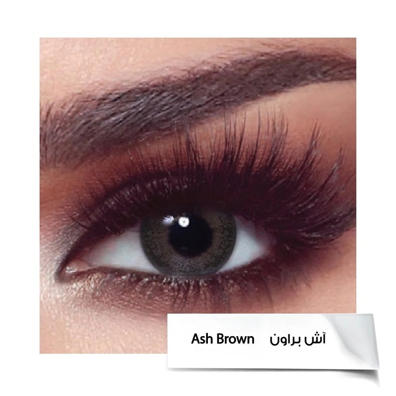 Bella Daily Contact Lenses - Ash Brown-10 lenses
