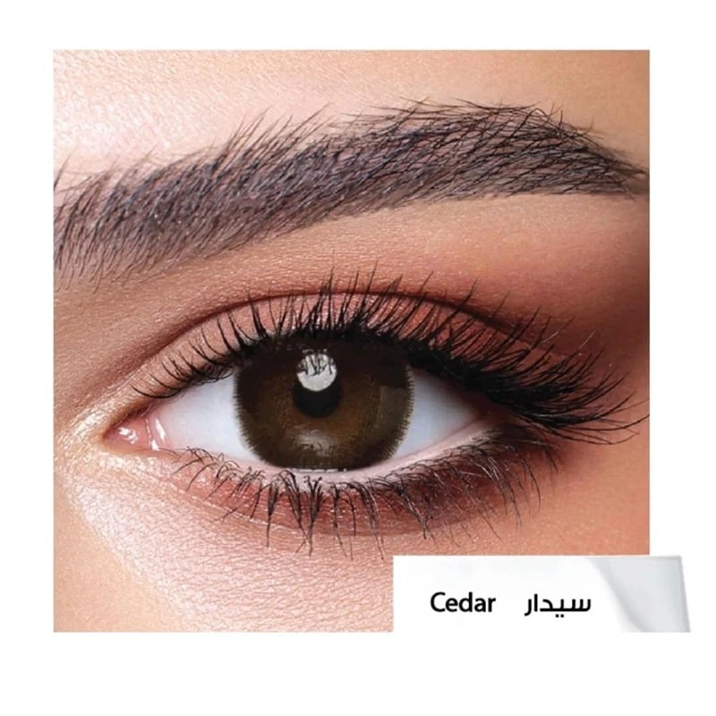 عدسات بيلا اليومية سيدار -10 عدسات