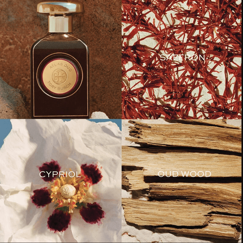 توري بورش عطر أطلس عود أو دي بارفان 90 مل