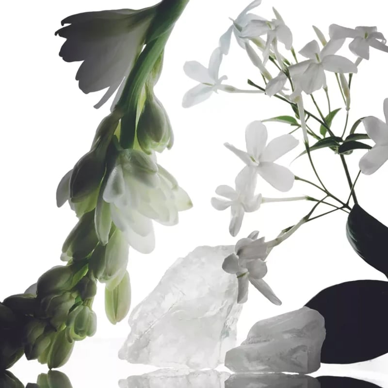 نارسيسو رودريغيز عطر مسك كولكشن وايلد تيبروز أو دي بارفان إنتنس 100 مل