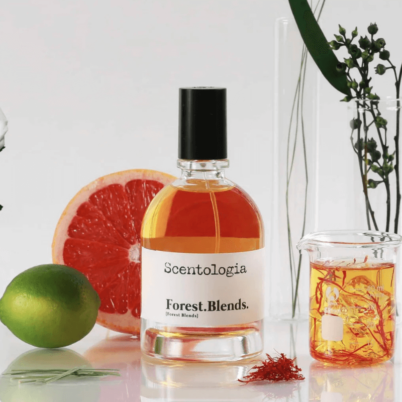 سينتولوجيا عطر فورست بلندز أو دي بارفان 100 مل