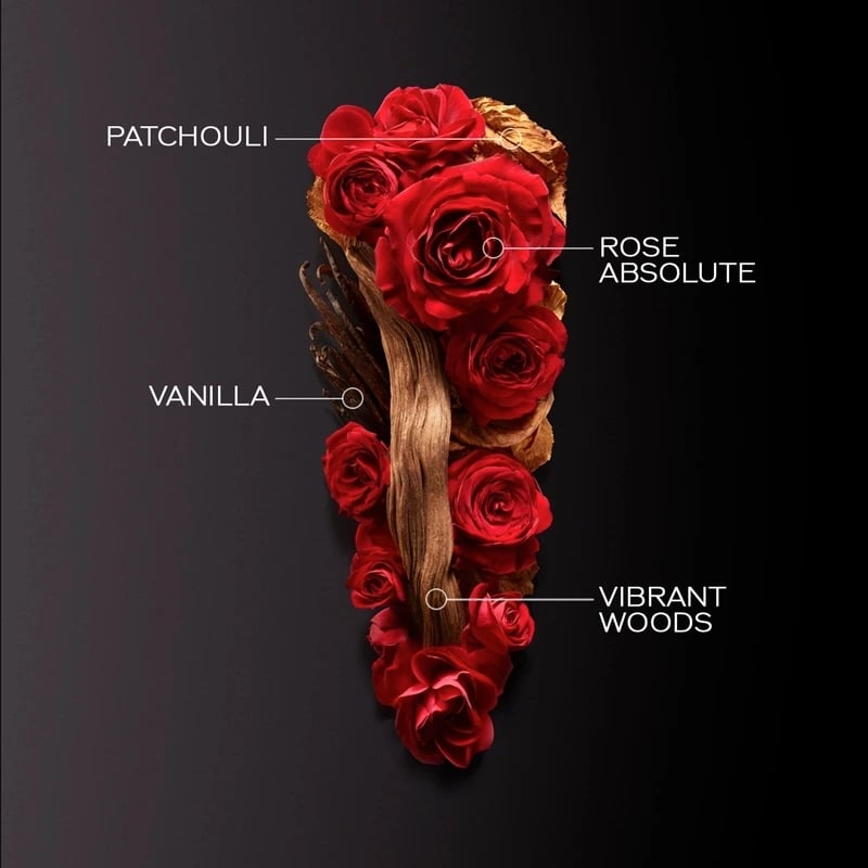 شيسيدو غينزا أو دي بارفان إنتنس